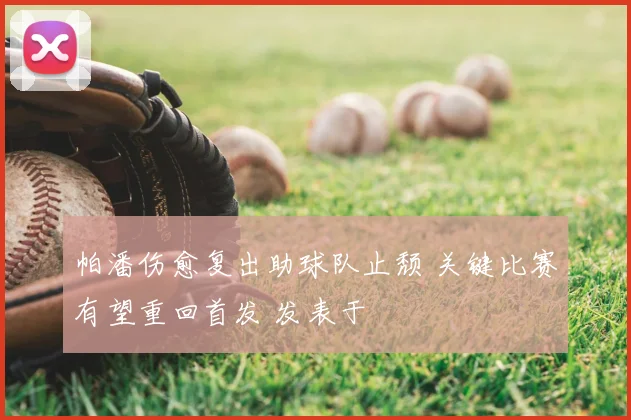 帕潘伤愈复出助球队止颓 关键比赛有望重回首发 发表于