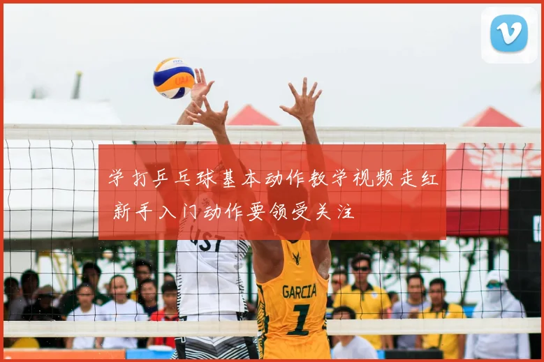 学打乒乓球基本动作教学视频走红 新手入门动作要领受关注