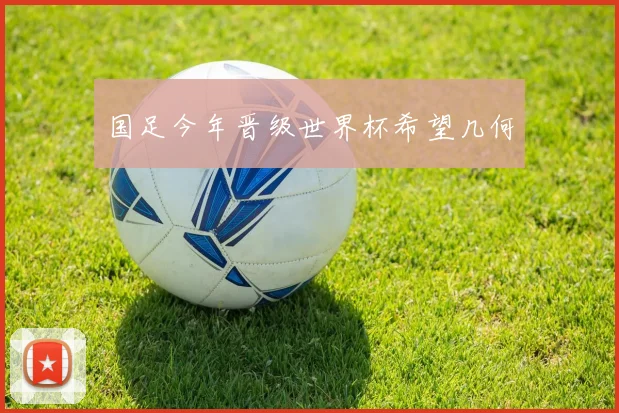 国足今年晋级世界杯希望几何