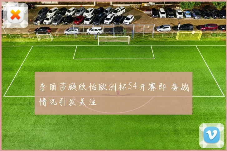 李丽莎顾欣怡欧洲杯54开赛即 备战情况引发关注