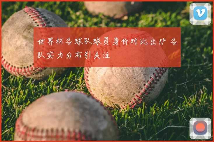 世界杯各球队球员身价对比出炉 各队实力分布引关注