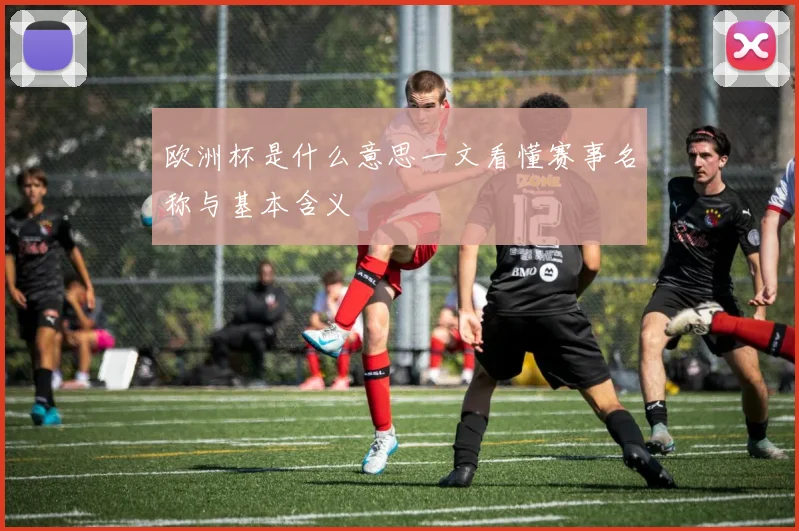 欧洲杯是什么意思一文看懂赛事名称与基本含义